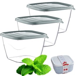 Kpl Pojemników kwadratowych POLY3 x 2,8 lt