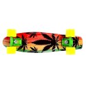 PENNYBOARD ART REGGAE SIGNA
