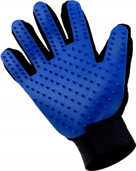 RĘKAWICA DO CZESANIA PSA KOTA NIEBIESKIE KOLCE