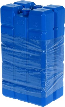 WKŁAD DO LODÓWKI 2X400GR